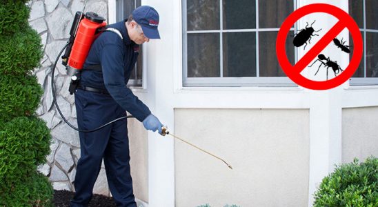 Armutlu Hamam Böceği İlaçlama böcek ilaçlama ve haşere kontrolü — ilaclama-tr.com